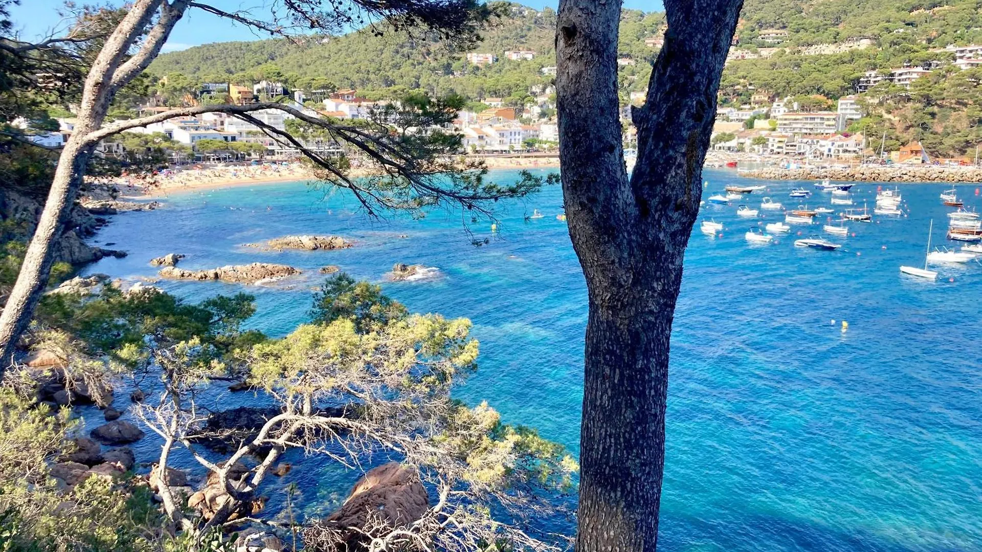 1Aur04 Apartment Calella De Palafrugell Spain
