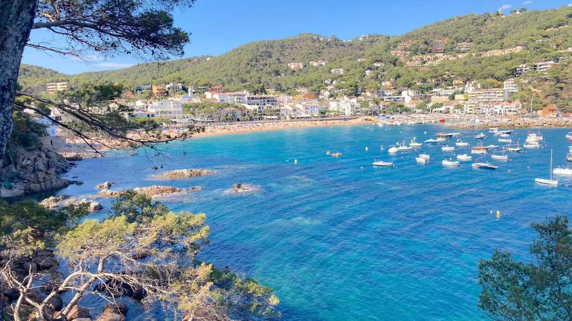 1Aur04 Apartment Calella De Palafrugell 0*,  Spain